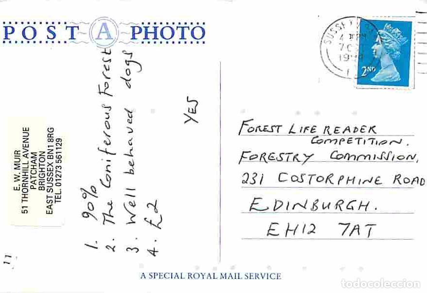 Postales: Couples - CPM - Voir Scans Recto-Verso - Foto 2