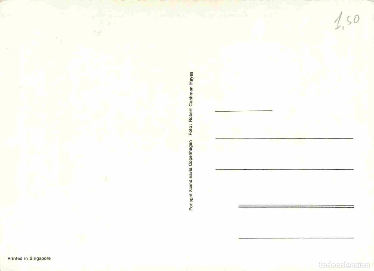 Postales: Couples - CPM - Voir Scans Recto-Verso - Foto 2