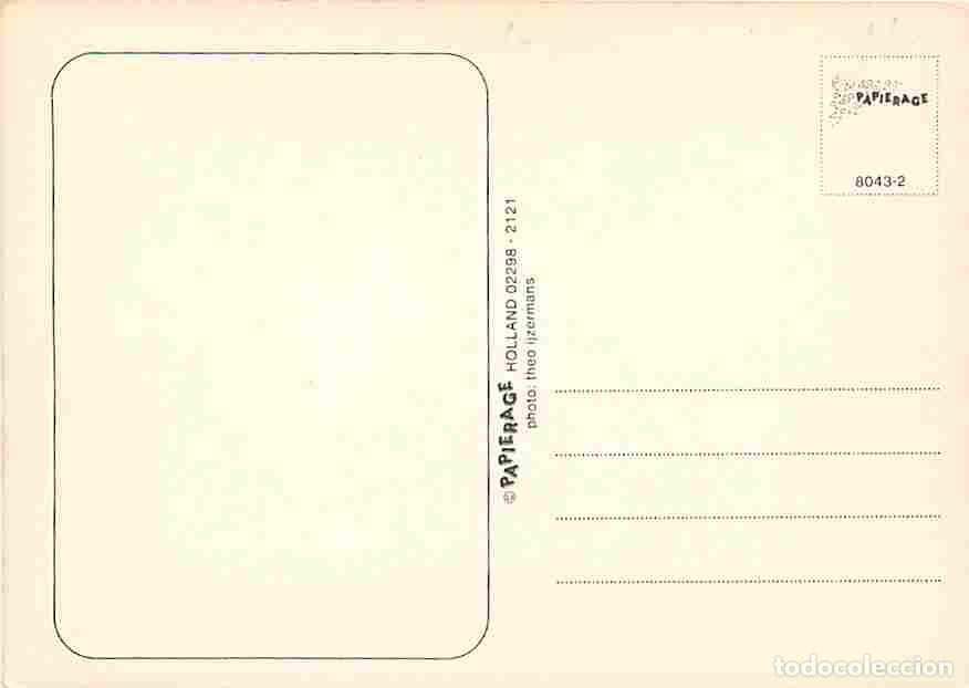 Postales: Femmes - CPM - Voir Scans Recto-Verso - Foto 2