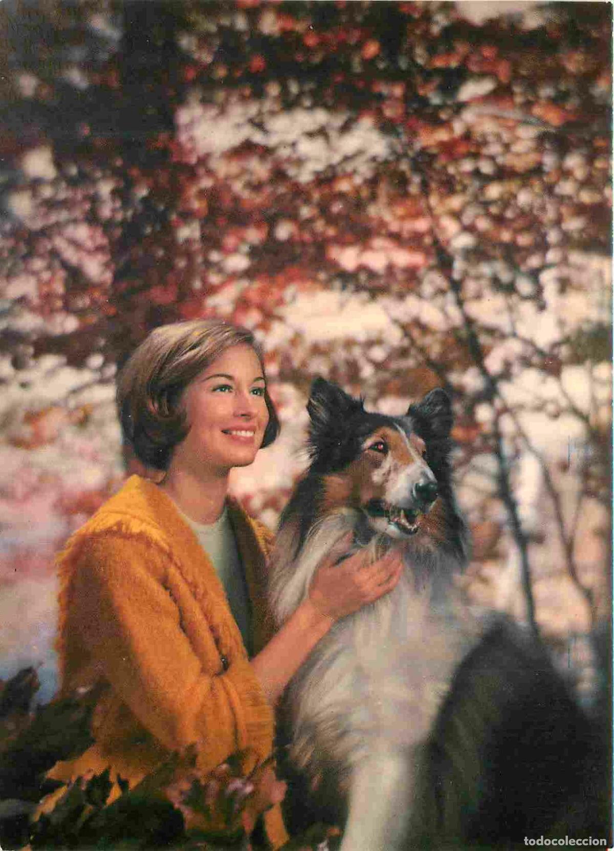 Postais: Carte Postale - Femmes - Chiens - Colley - CPM - Voir Scans Recto-Verso - Poscard - Carta Postal -