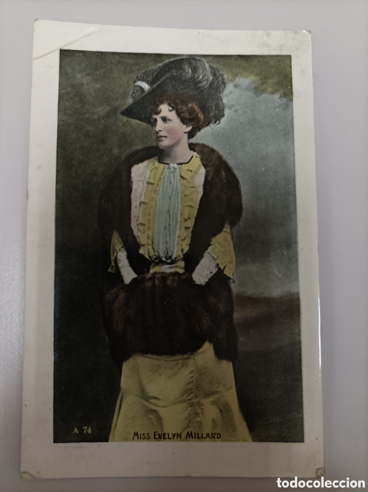 Postales: Actriz MILLARD, Evelyn_Enamelette; A 74