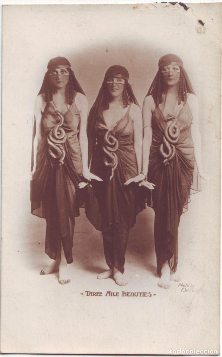 Postales: Actriz Three NILE BEAUTIES_Samuels. Photo F. W. Burford
