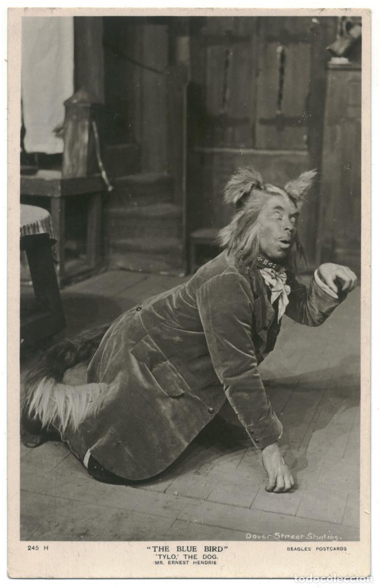 Postales: Actor eduardiano HENDRIE, Ernest_Beagles. 245 H. As Tylo, the Dog in The Blue Bird. Photo Dover Stre