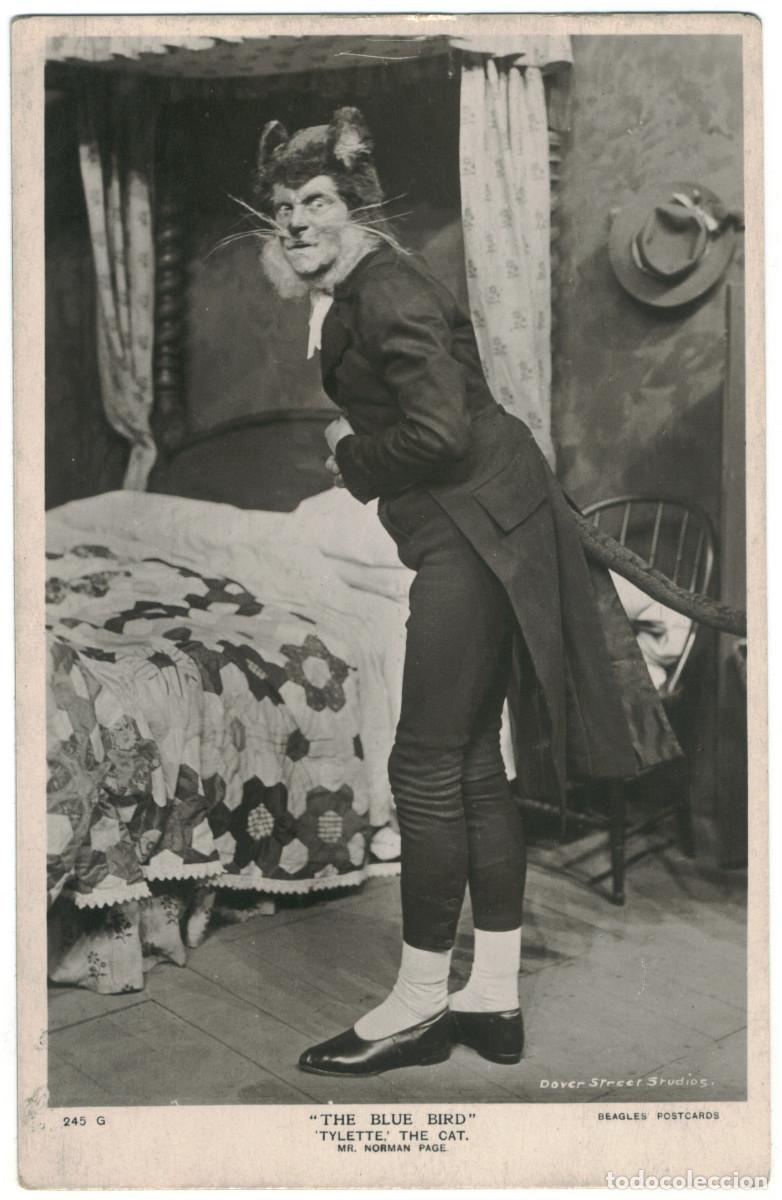 Postales: Actor PAGE, Norman_Beagles. 245 G. As Tylette, the Cat in The Blue Bird. Photo Dover Street Studios