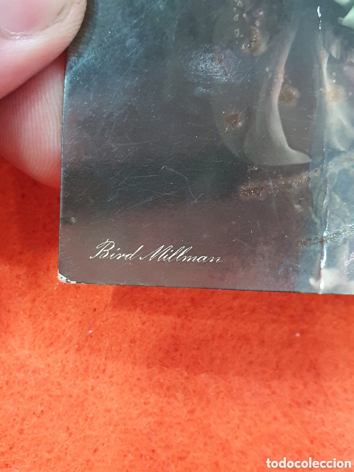 Postales: Postal coloreada Bird Millman. (L129) - Foto 2