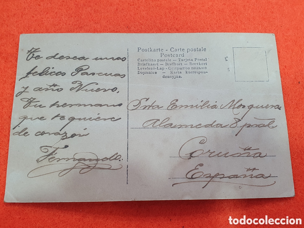 Postales: Postal coloreada Bird Millman. (L129) - Foto 3
