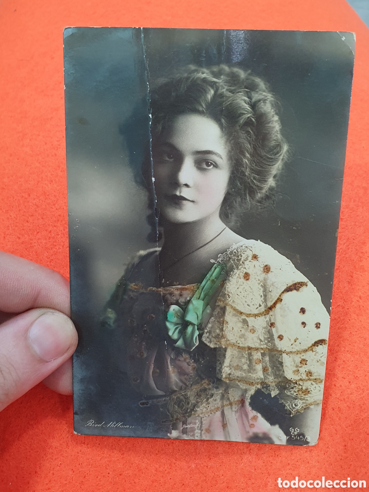Postales: Postal coloreada Bird Millman. (L129)