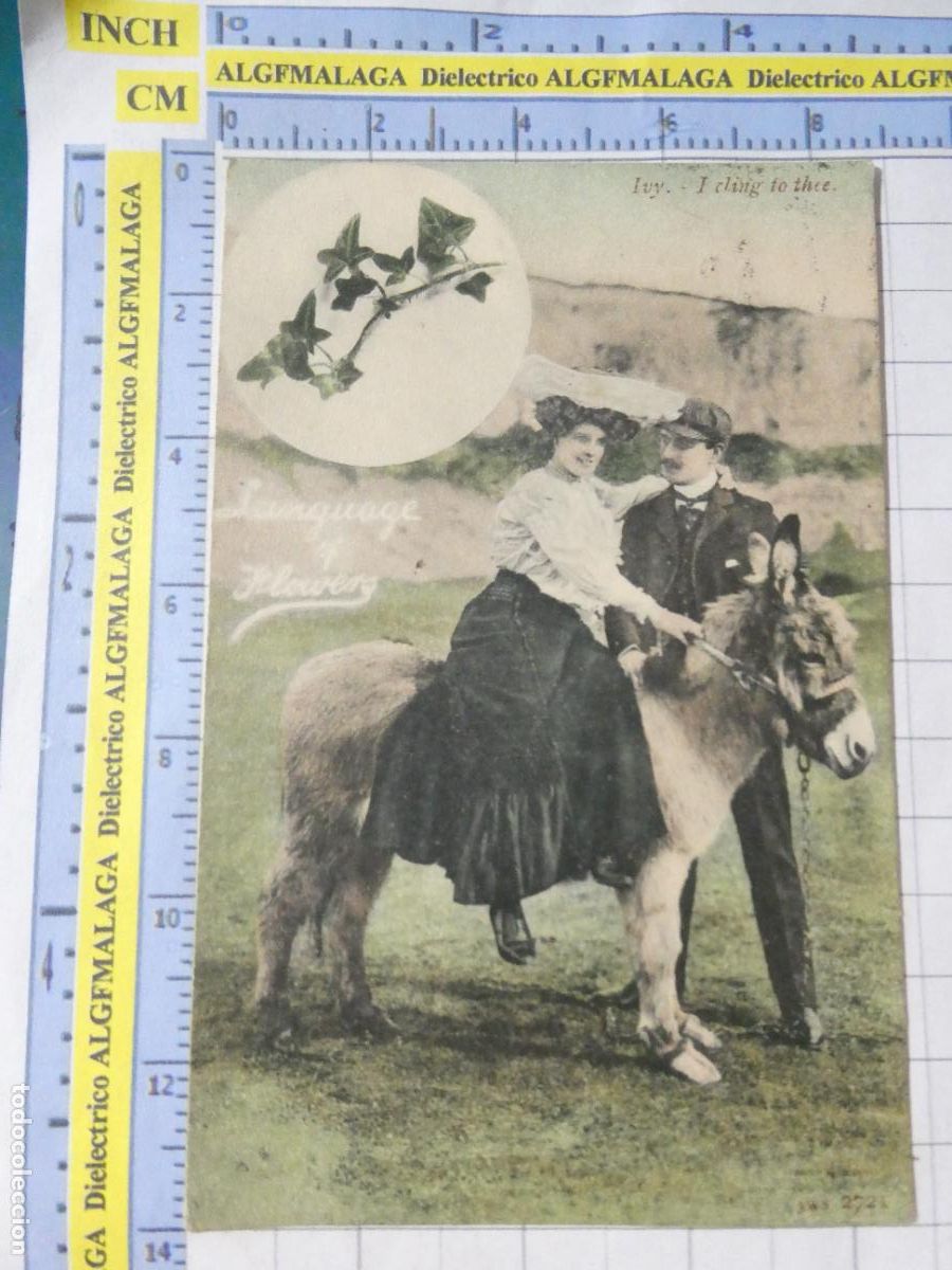 Postales: ANTIGUA POSTAL GALANTES MUJERES ENAMORADOS REINO UNIDO UK A&Ntilde;O 1905 APROX. DAMA GAL&Aacute;N BURRITO 1663