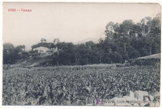 Postales: VIGO - PAISAJE - Foto 1