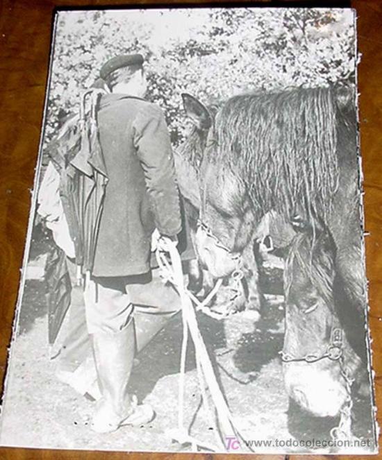 Postales: ANTIGUA FOTO POSTAL - TIPICAS DE GALICIA N&ordm; 209 - TRATANDO A VENTA - ED. ARTIGOT
