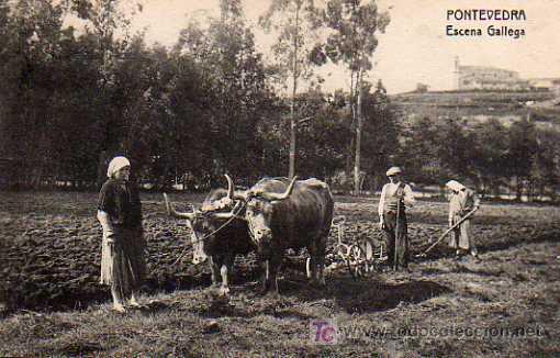 Postales: PONTEVEDRA, ESCENA GALLEGA - Foto 1