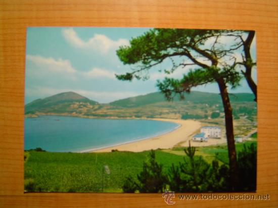Postales: POSTAL VIVERO PLAYA DE AREA SIN CIRCULAR - Foto 1