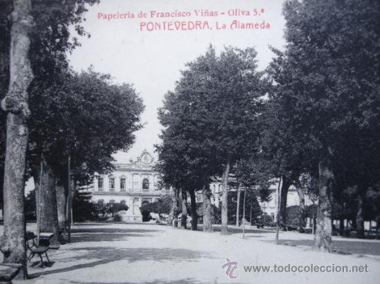 Postales: PONTEVEDRA,S/C.LA  ALAMEDA - Foto 1