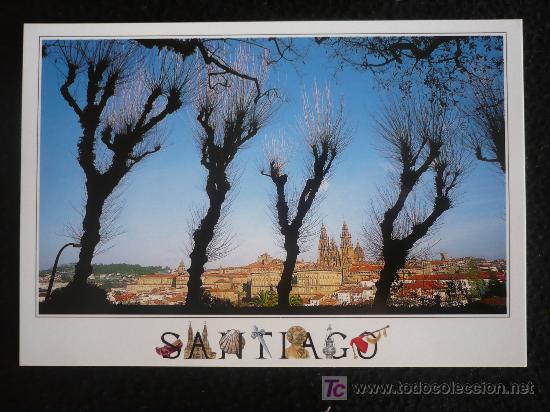 Postales: SANTIAGO DE COMPOSTELA. SIN CIRCULAR. EDICIONES  A.M - Foto 1