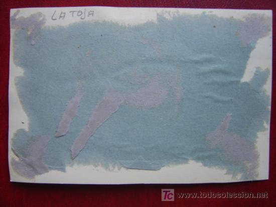 Postales: LA TOJA - Foto 2