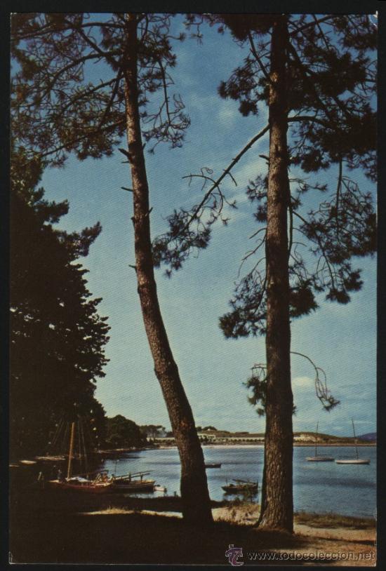 Postales: B-0992- PONTEVEDRA. LA TOJA. - Foto 1