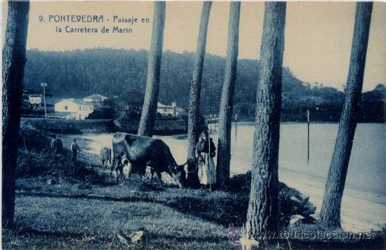 Cartes Postales: PONTEVEDRA.-PAISAJE EN LA CARRETERA DE MAR&Iacute;N