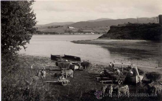 Postales: RIBADEO (LUGO).- FAENAS DEL CAMPO - Foto 1