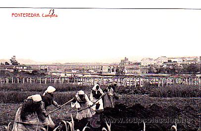 Postales: POSTAL PONTEVEDRA CAMPI&Ntilde;A - Foto 1