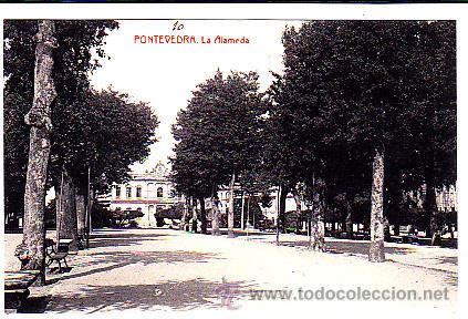 Postales: POSTAL PONTEVEDRA LA ALAMEDA - Foto 1