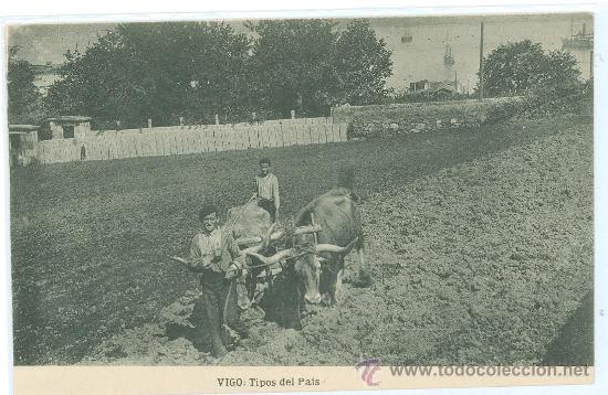 Postales: VIGO, TIPOS DEL PAIS - Foto 1