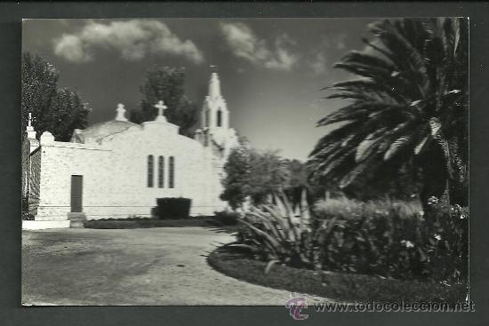 Postales: PONTEVEDRA LA TOJA LA CAPILLA - Foto 1