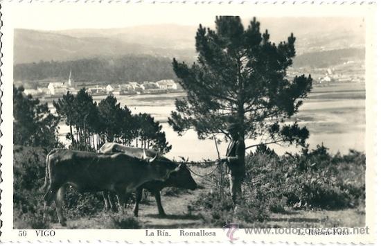 Postais: 2060 -VIGO -(PONTEVEDRA) LA RIA-RAMALLOSA -FOTO L. ROISIN
