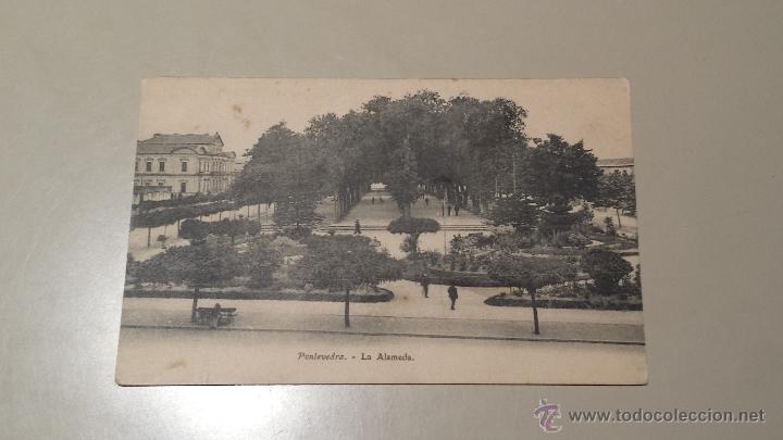 Postales: POSTAL DE PONTEVEDRA - LA ALAMEDA - Foto 1