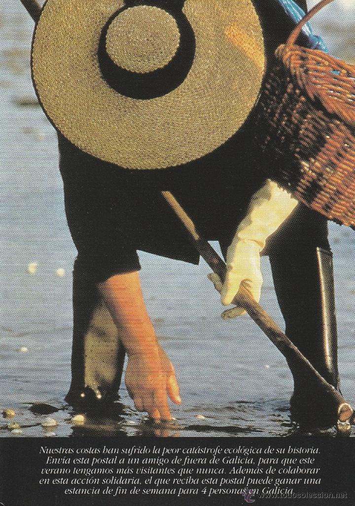 Postales: N&ordm; 14205 POSTAL MARISCADORA - Foto 1