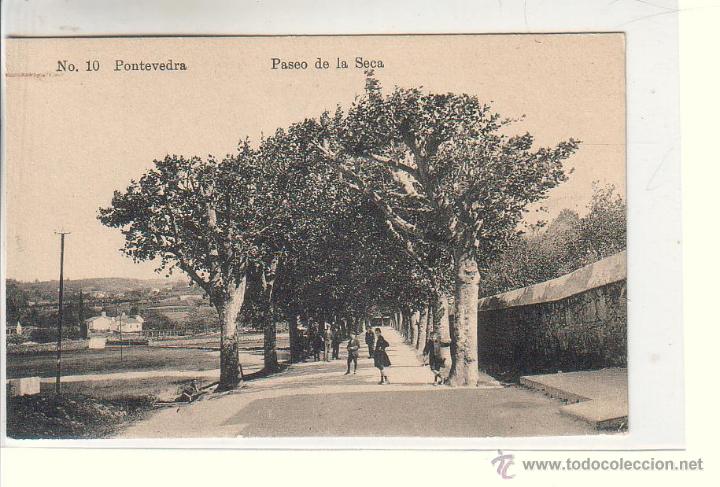 Postkarten: PONTEVEDRA.- PASEO DE LA SECA