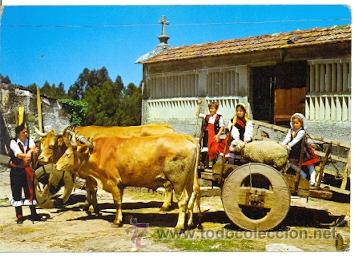 Postkarten: 7-esp2308. Postal Galicia. Imagen T&iacute;pica