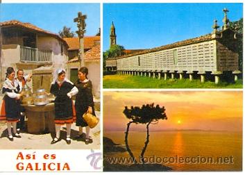Cartes Postales: 7-esp2310. Postal Galicia. Im&aacute;genes T&iacute;picas
