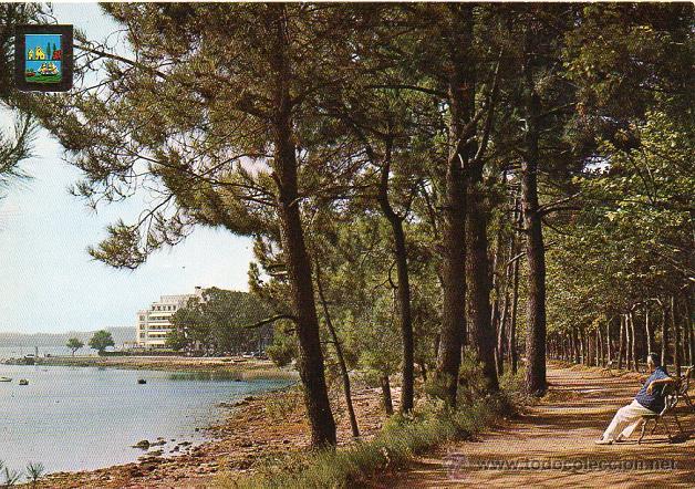 Postales: La Toja - 3 Camino, bosque y Hotel