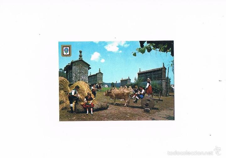 Cartes Postales: POSTAL ANTIGUA GALICIA SIN CIRCULAR