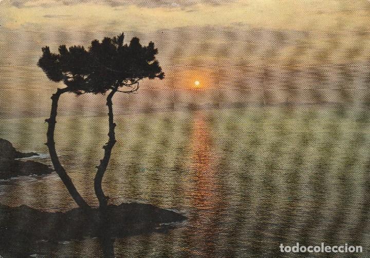 Postcards: N&ordm; 26539 POSTAL GALICIA ATARDECER