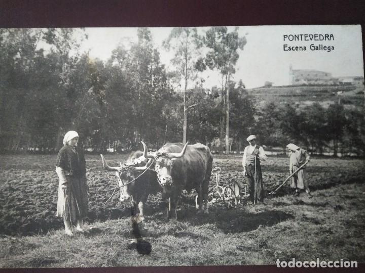 Postales: PONTEVEDRA.   ESCENA GALLEGA.  SIN CIRCULAR. - Foto 1