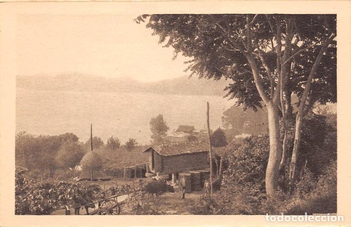 Postales: VIGO.- PAISAJE - Foto 1