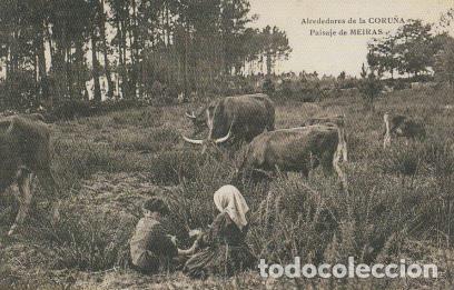 Postales: POSTAL ALREDEDORES DE LA CORU&Ntilde;A. PAISAJE DE MEIR&Aacute;S. REPRODUCCI&Oacute;N LA OPINI&Oacute;N