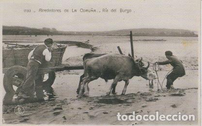 Postales: POSTAL ALREDEDORES DE LA CORU&Ntilde;A. R&Iacute;A DEL BURGO. REPRODUCCI&Oacute;N LA OPINI&Oacute;N