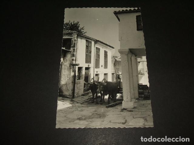 Postales: PONTEVEDRA RINC&Oacute;N T&Iacute;PICO - Foto 1