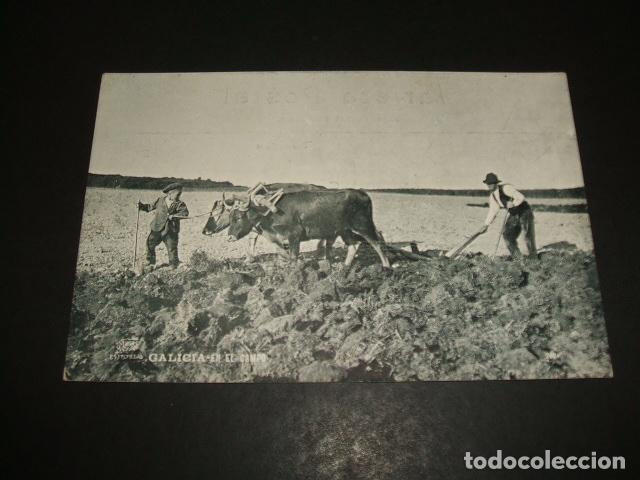 Postales: GALICIA EN EL CAMPO ED. FERRER LA CORU&Ntilde;A - Foto 1