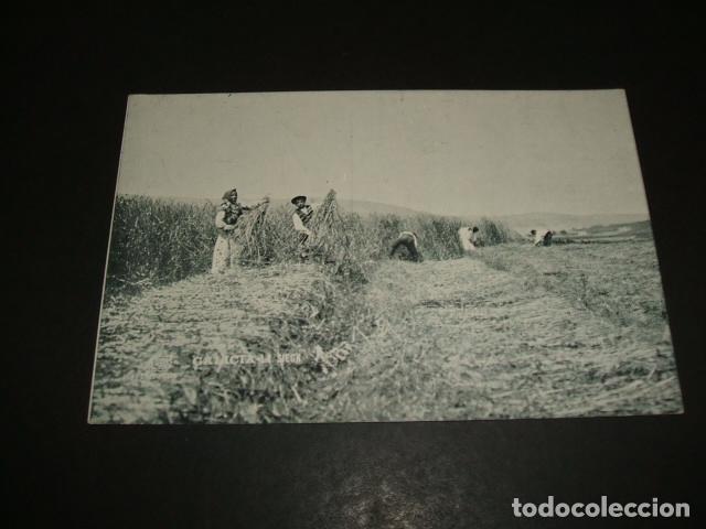 Postales: GALICIA LA SIEGA ED. FERRER LA CORU&Ntilde;A - Foto 1