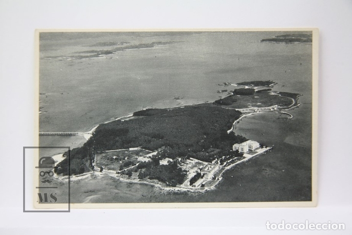 Postales: Postal - La Toja, Vista General de la Isla - Edita Oliva - Sin Circular