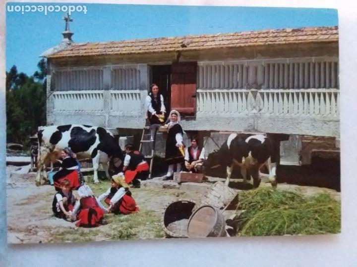Postales: Galicia 3354 - Foto 1