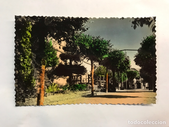 Postales: PUENTEAREAS (Pontevedra) Postal Coloreada No.2, Jardines de Jos&eacute; Antonio (h.1950?)