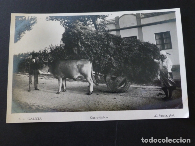 Postales: GALICIA CARRO TIPICO - Foto 1