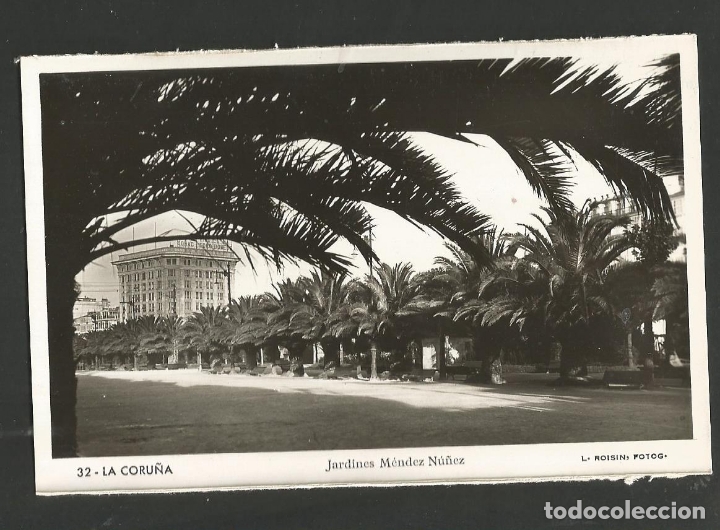 Postales: LA CORU&Ntilde;A-JARDINES MENDEZ NU&Ntilde;EZ-32-FOTOGRAFICA ROISIN-(61.072)