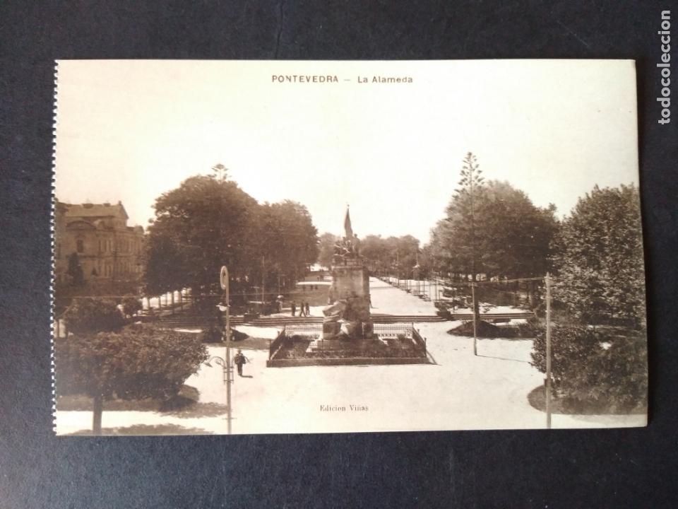 Postales: PONTEVEDRA LA ALAMEDA - Foto 1