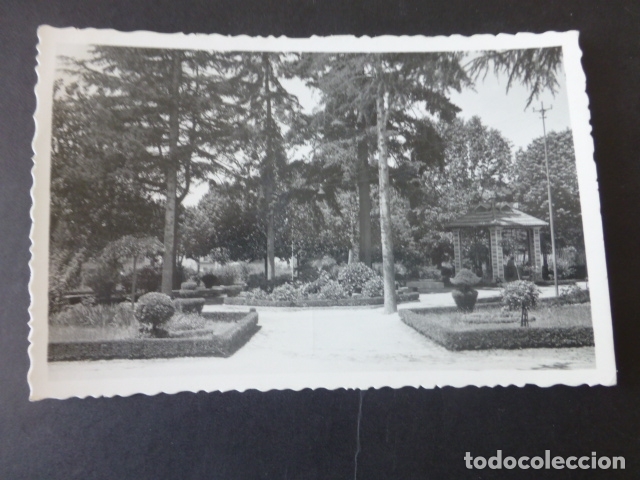 Postales: ORENSE JARDINES DEL POSIO - Foto 1