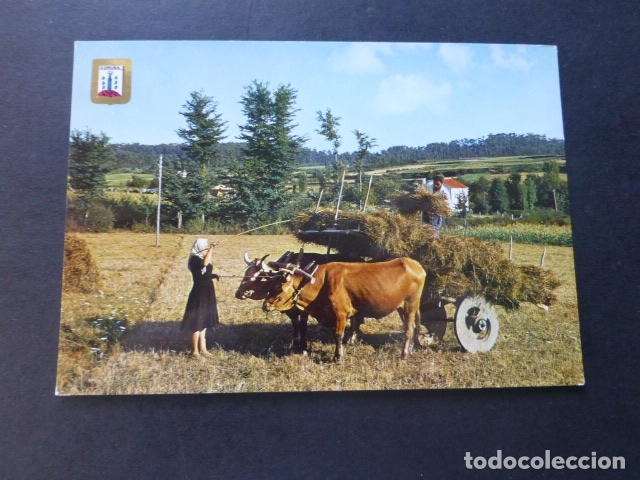 Postales: LA CORU&Ntilde;A TIPICO RINCON GALLEGO - Foto 1